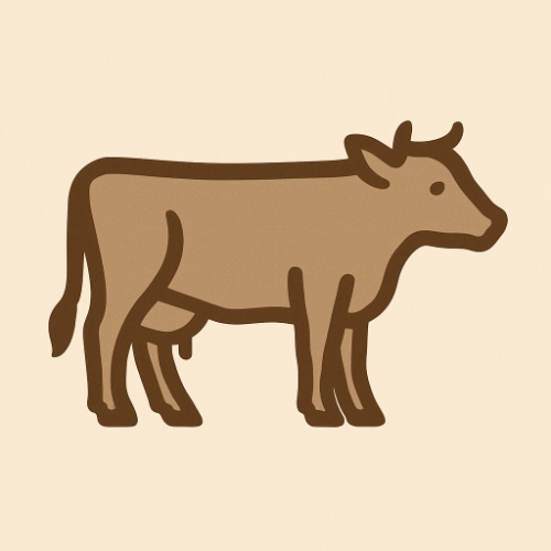Picanha Staartstuk Rund