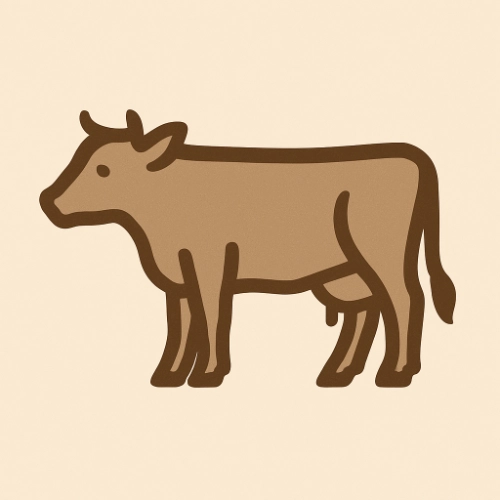 Bavette Rund