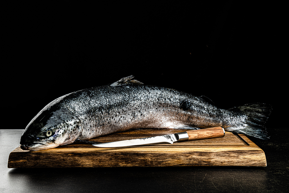 Forged Olive Vis Fileermes - Afbeelding 2